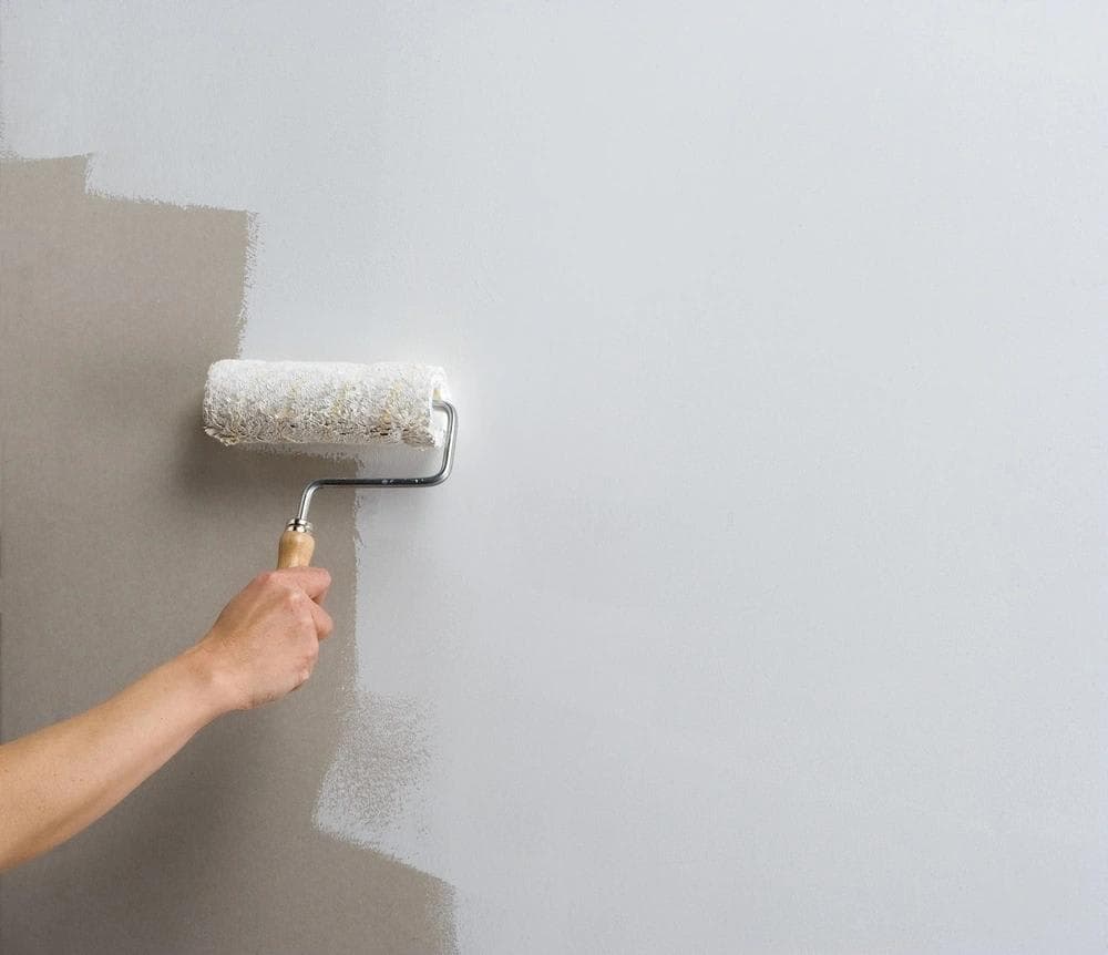 Premium Wall Putty & Primer Service